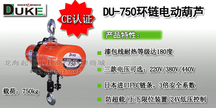 DU-750環(huán)鏈電動葫蘆圖片